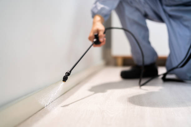 Licensed Fumigation Services service in Ave Maria, FL - Nex Pest Control