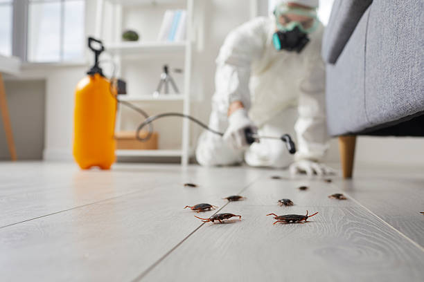Trusted Fumigation Services service in Ave Maria, FL - Nex Pest Control