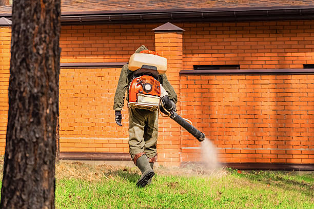 Trusted Rodent Control service in Ave Maria, FL - Nex Pest Control